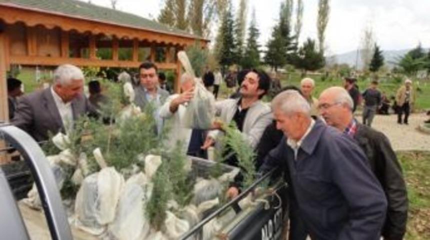 Orman B&ouml;lge M&uuml;d&uuml;rl&uuml;ğ&uuml;'nden &Uuml;cretsiz Fidan