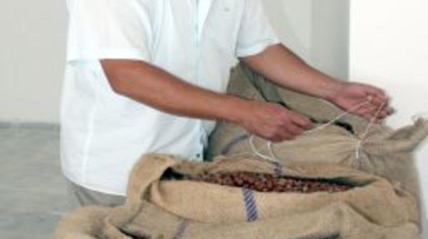 Giresun'da Fındık Fiyatı 5 Liraya Y&uuml;kseldi