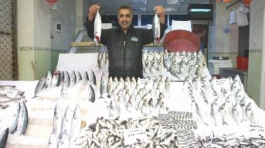 Kurban Bayramı Balık Satışlarını D&uuml;ş&uuml;rd&uuml;