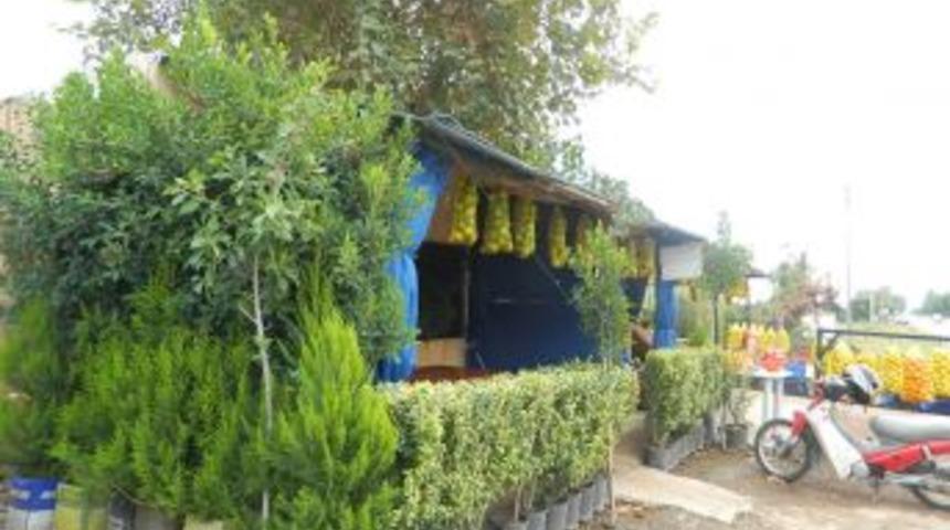 Kumluca'ya vitamin durağı a&ccedil;ıldı