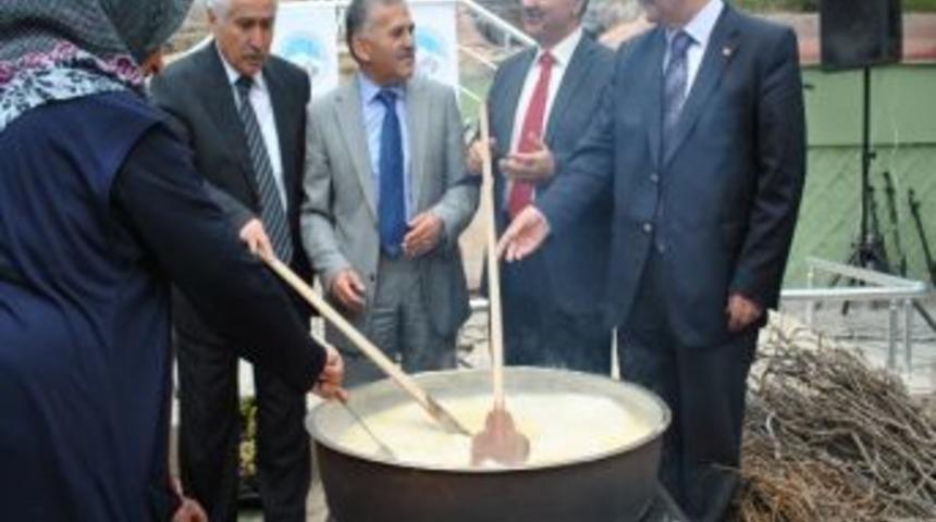 Kocasinan&rsquo;da Kedi Bacağı Tanıtıldı