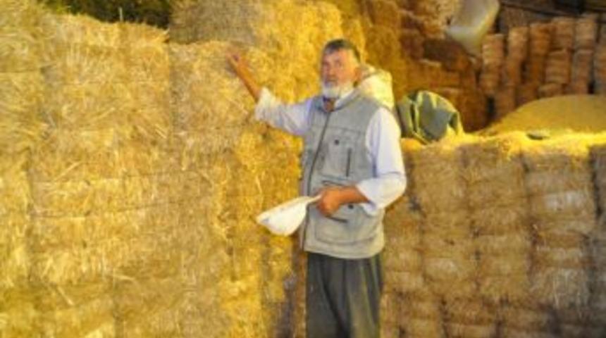 Bu Yıl Samana Yatırım Yapan Kazandı