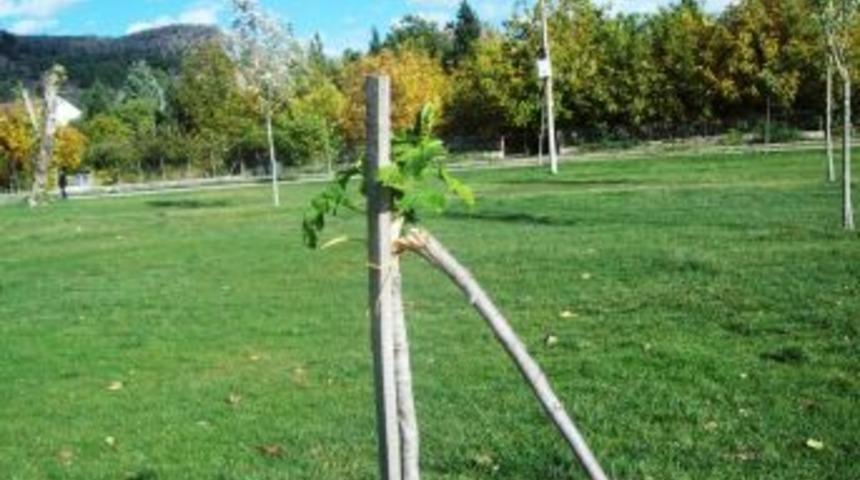 Dursunbey'de Ağa&ccedil; Katliamı