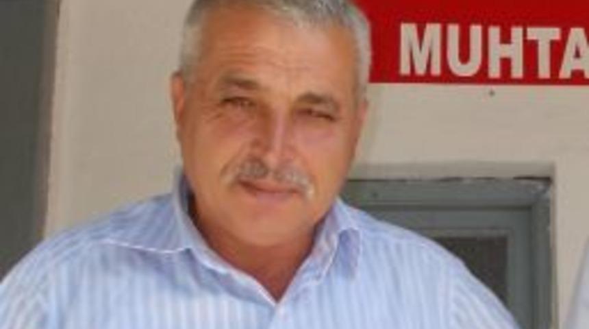 Şark&ouml;y'de &Uuml;&ccedil; K&ouml;y &Ouml;zel Ağa&ccedil;landırma Projesi Kapsamına Alındı