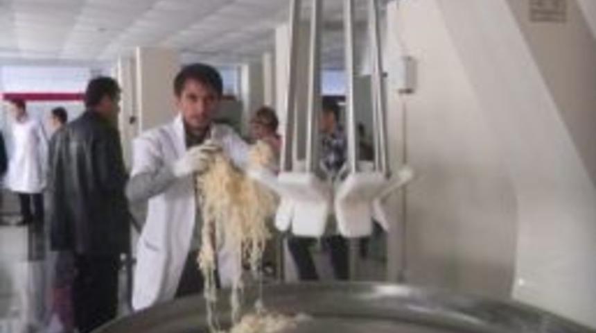 Siirt'te 16 Kişiye İstihdam