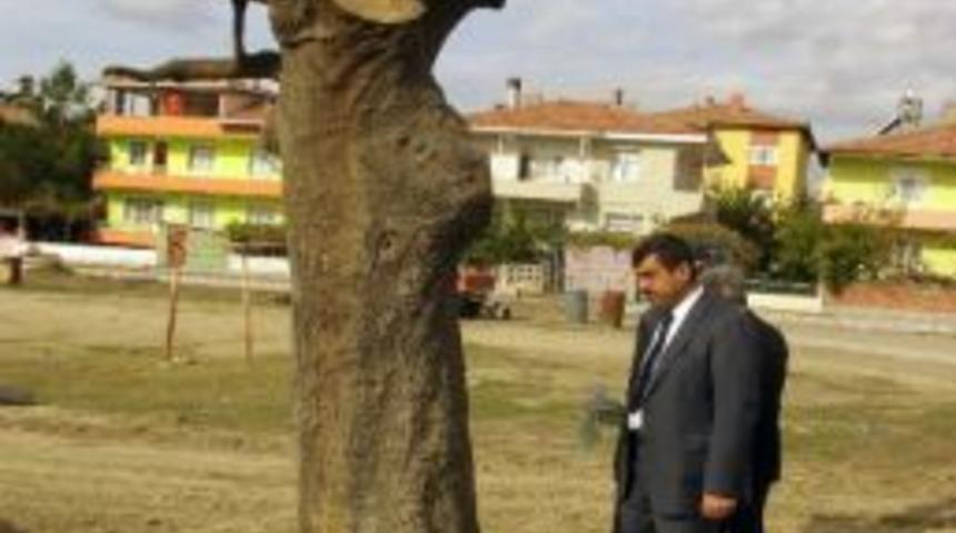 Osmancık Belediyesi’nin Yol Çalışmaları Hız Kesmiyor