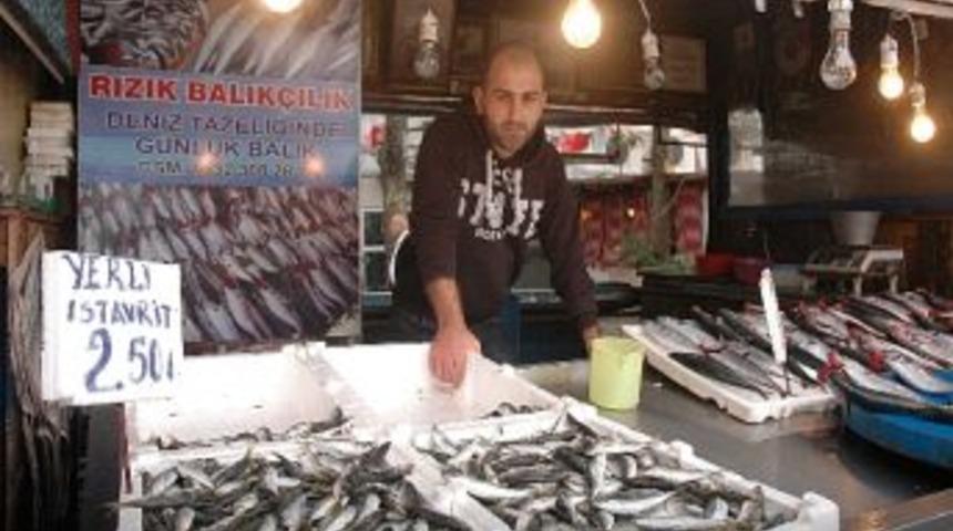 Balıklar Tezgahlarda Kaldı
