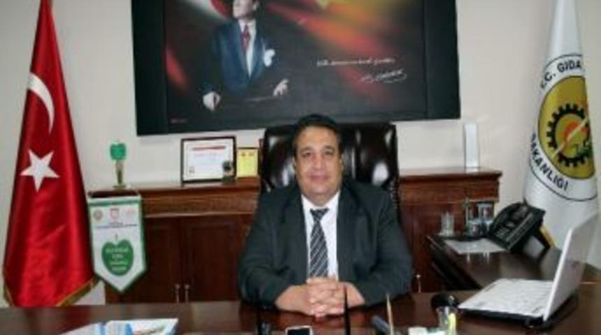 Sivas Patatesi Yurtdışına İhra&ccedil; Ediliyor