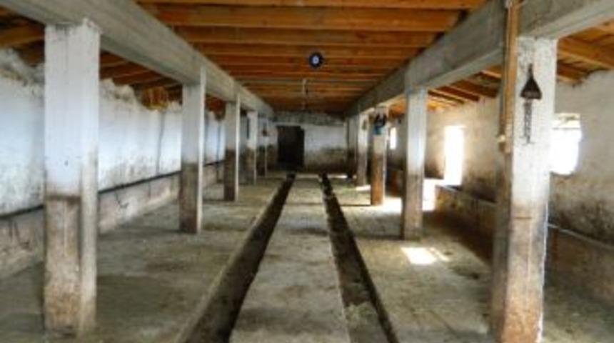 Ardahanlı Besiciler Zor G&uuml;nler Yaşıyor