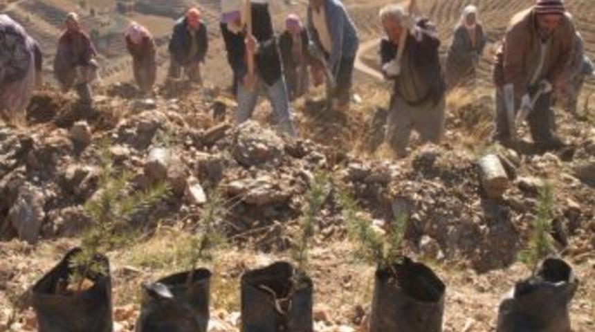 Bozdağlar Yeşile B&uuml;r&uuml;necek