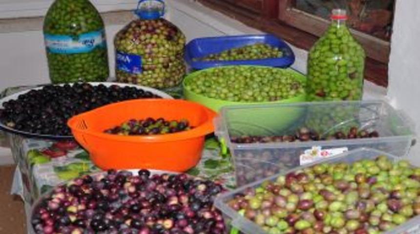 1 Milyon Zeytin Fidanı Dikilen Antalya, Zeytinin Yeni Akt&ouml;r&uuml; Olmaya Hazırlanıyor