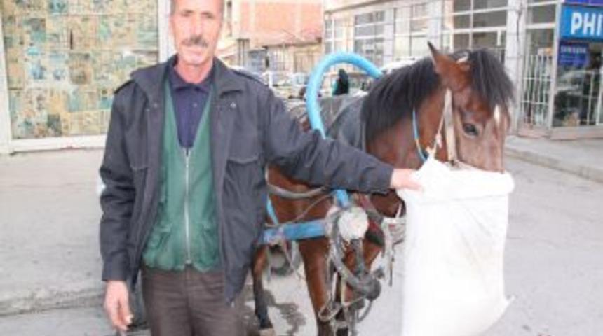 Nalbantlık Mesleğini At Arabacıları Yaşatıyor