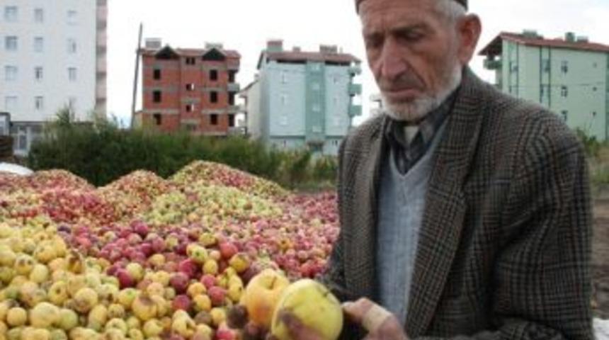 Beyşehir&rsquo;in D&ouml;k&uuml;nt&uuml; Elmaları Meyve Suyuna D&ouml;n&uuml;ş&uuml;yor