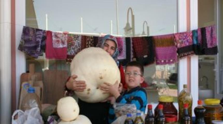 35 Kiloluk Kabak G&ouml;renleri Şaşırtıyor