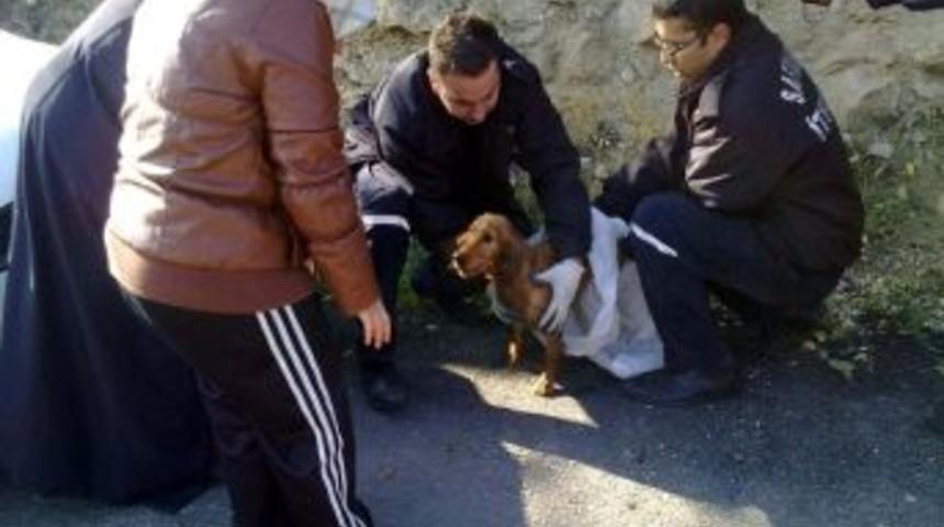 Karab&uuml;k&rsquo;te K&ouml;pek Kurtarma Operasyonu