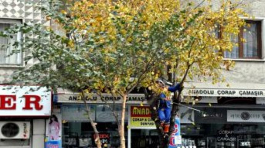 &Ouml;nce Salladı Sonra S&uuml;p&uuml;rd&uuml;