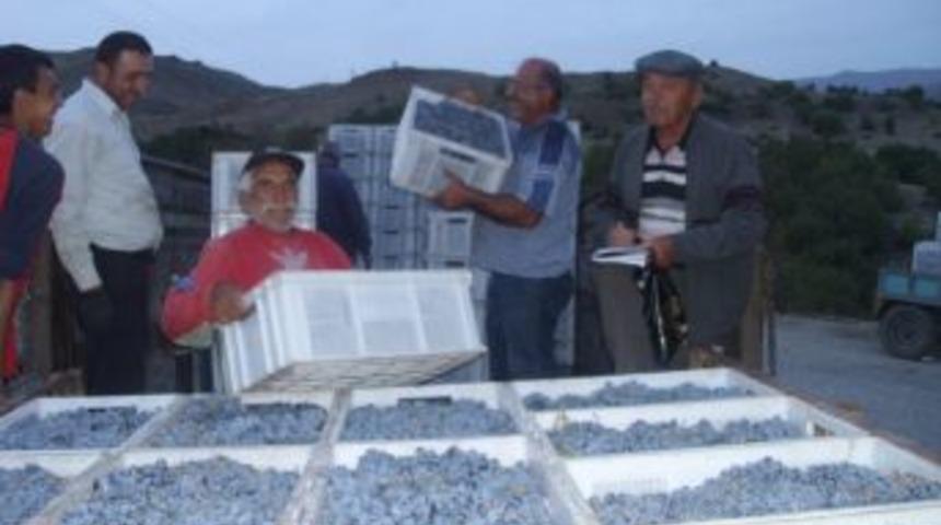 &Uuml;z&uuml;m alımları yarı yarıya d&uuml;şt&uuml;