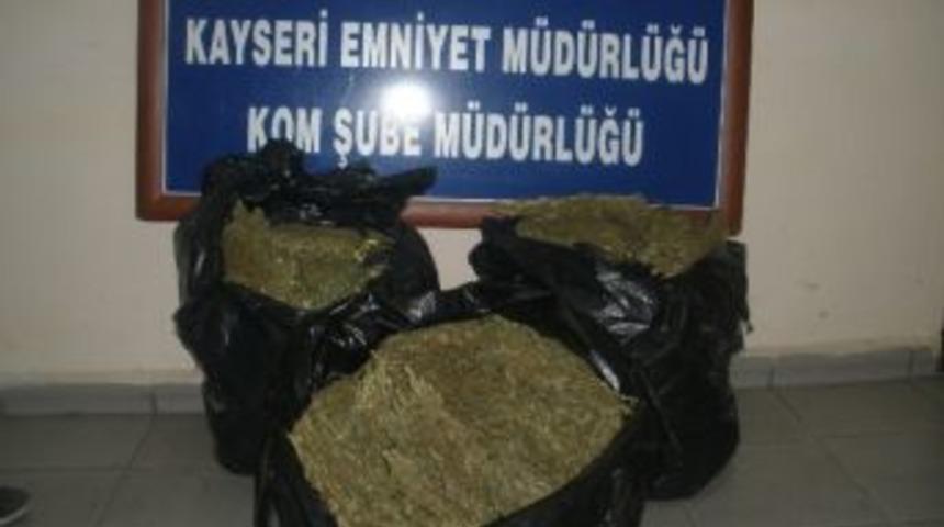 Zehir Tacirlerine Darbe