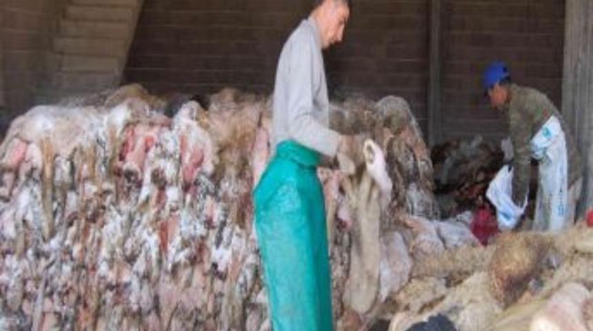 Simav Thk, 101 Bin Liralık Deri Topladı