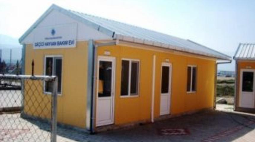 Kemalpaşa, Sokak Hayvanlarına Sahip &Ccedil;ıkıyor
