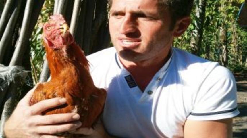 Horozu I&ccedil;in Burun Estetiğinden Vazge&ccedil;ti