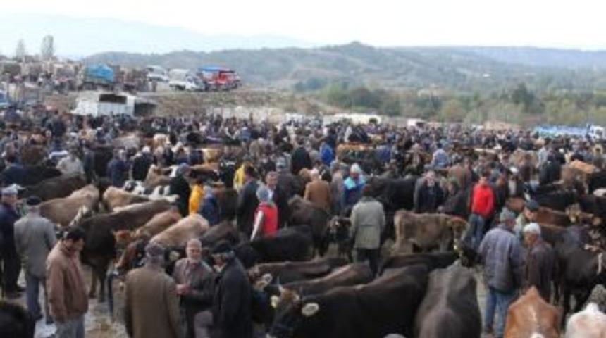 Kastamonu&rsquo;da 10 Bin 690 Kurban Diğer İllere Dağıtıldı