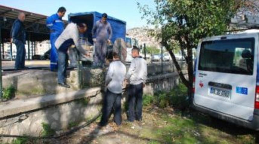 Telefon Kabloları &Ccedil;alındı