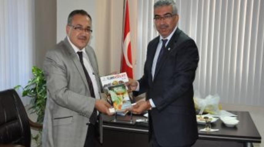 Bur&ccedil; &Ccedil;ukurova&rsquo;dan Anlamlı &Ccedil;ağrı