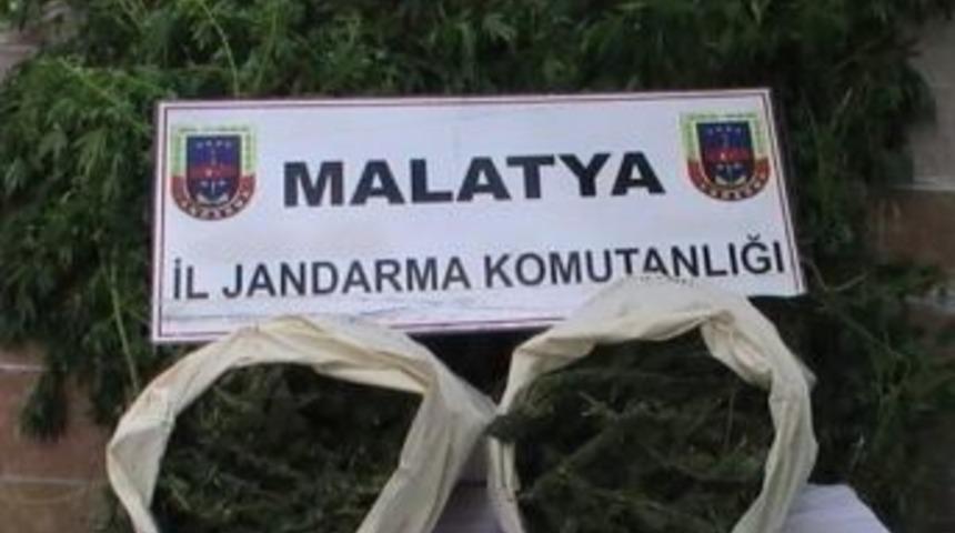 Malatya'da Esrar Operasyonu