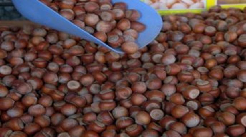 Fındık Satışlarında Artış Esnafı Sevindirdi