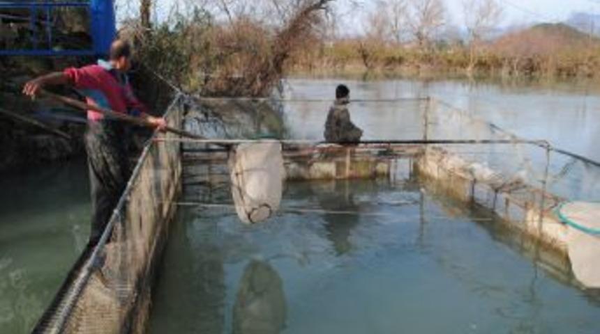 Manavgat'ta Balık &Ccedil;iftlikleri Yasalara Uygun Balık &Uuml;retiyor
