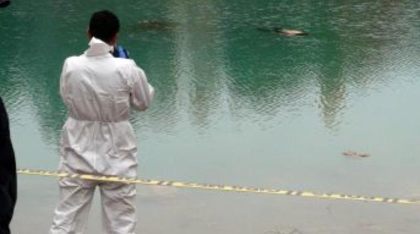 Balık Tutarken Kadın Cesedi Buldular