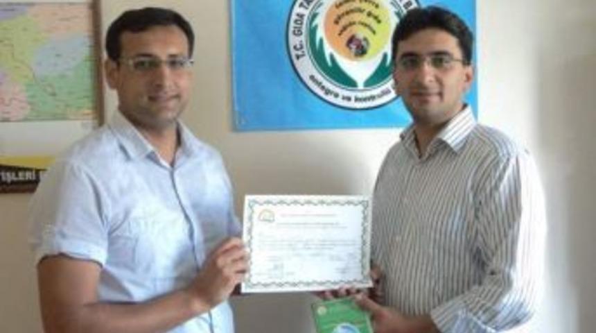 Akhisarlı Zeytin &Uuml;reticileri, T&uuml;rkiye&rsquo;nin Ek&uuml;y Sertifikalı İlk Zeytincileri Oldu