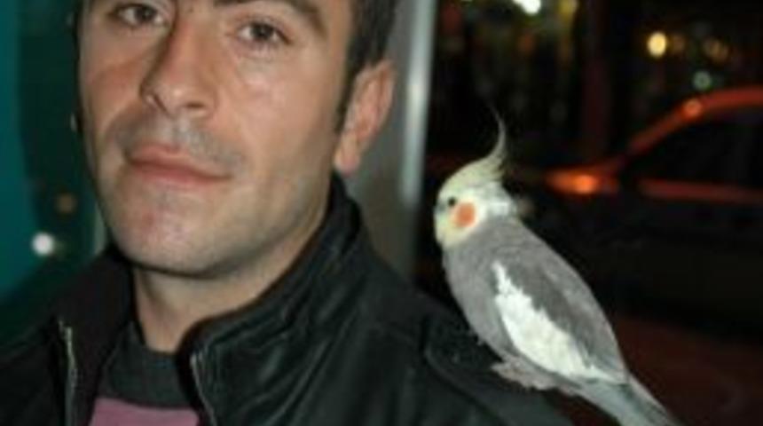 Omzuna Konan Papağan 3 Aydır Ayrılmıyor