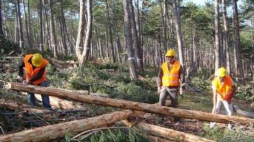 Taşk&ouml;pr&uuml; Dikmen Şefliğinde Standardizasyon Eğitimi