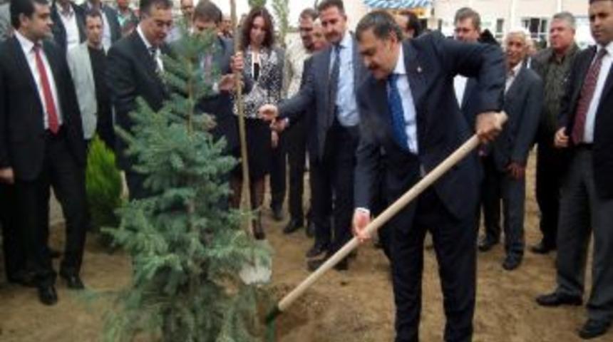 Bakan Eroğlu, Aydın&rsquo;da Okul Bah&ccedil;esi Yeşillendirdi