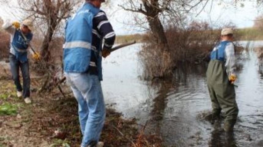 Milli Parktan 30 Kamyon &Ccedil;&ouml;p &Ccedil;ıktı