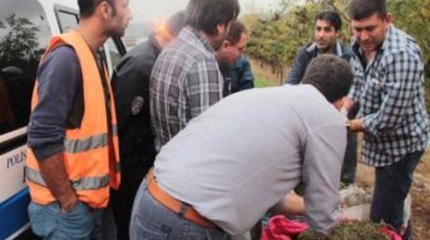 Temizlik G&ouml;revlileri, Otoban Kenarında 2 &Ccedil;uval Esrar Buldu