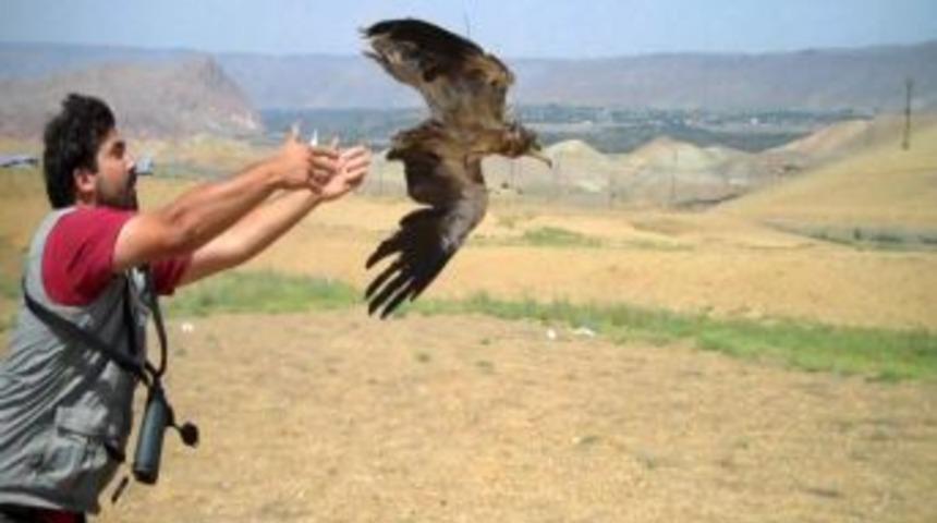 Nesli T&uuml;kenme Tehlikesi Bulunan K&uuml;&ccedil;&uuml;k Akbabalar Uydudan Takip Ediliyor