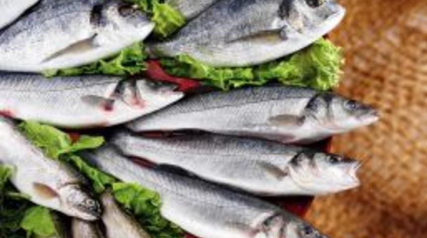 T&uuml;rk Su &Uuml;r&uuml;nleri Balkanlar'a A&ccedil;ıldı