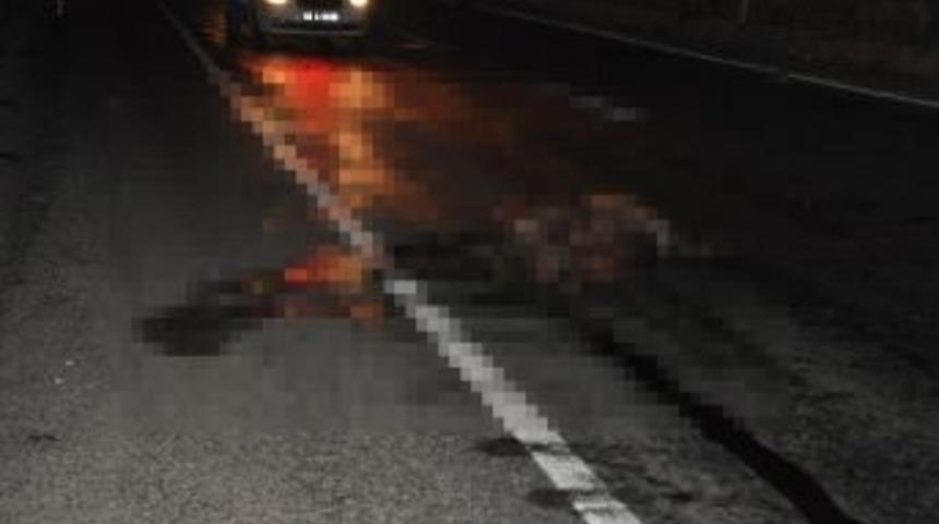 Karayoluna &Ccedil;ıkan Dana Trafiği Birbirine Kattı