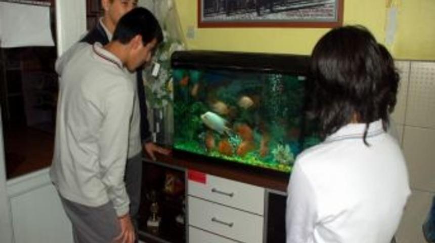 &Ouml;ğrenciler Sınav Streslerini Akvaryum Başında Atıyor