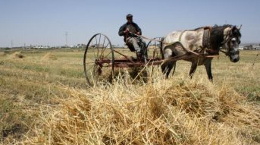 G&uuml;rcistan'dan Ot Ithalatının &Ouml;n&uuml;ndeki Engel Kaldırıldı