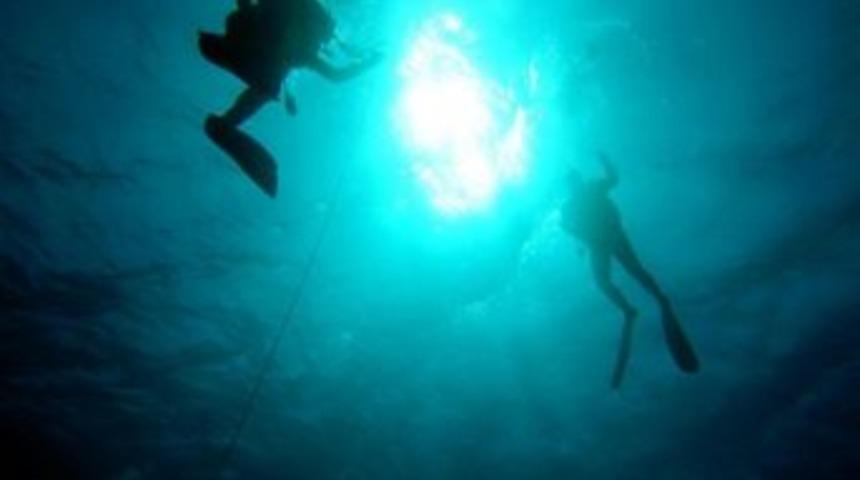 Dkk İle Balık&ccedil;ıların Y&uuml;z&uuml; G&uuml;ld&uuml;