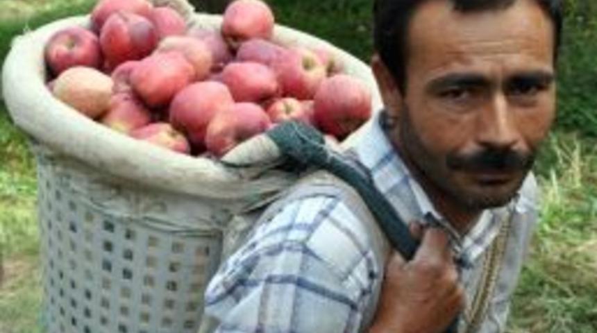 Elmaya İlk Talep Kuzey Irak Ve Ukrayna&rsquo;dan