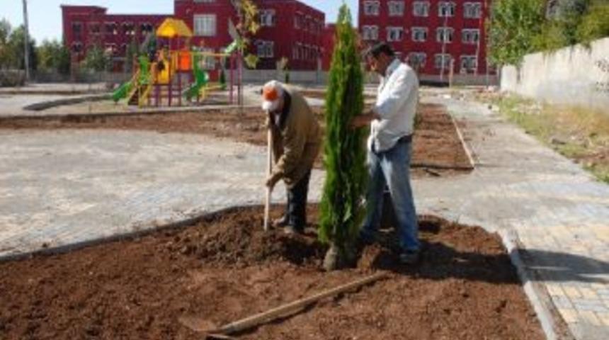 Semt Parkı Yeşillendiriliyor