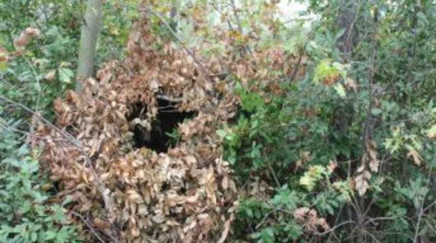 Kaynarca&rsquo;da Sığınak Bulundu