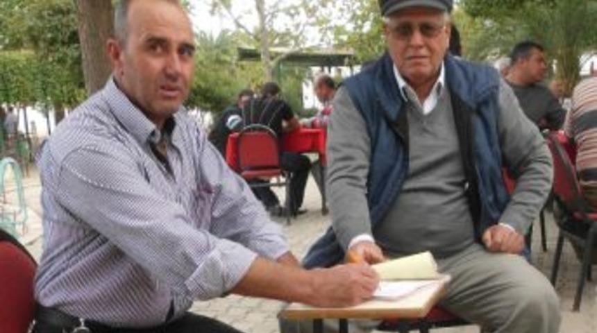 Zeytinde Rekolte Beyanname Verme S&uuml;resi 15 Kasım&rsquo;da Sona Eriyor