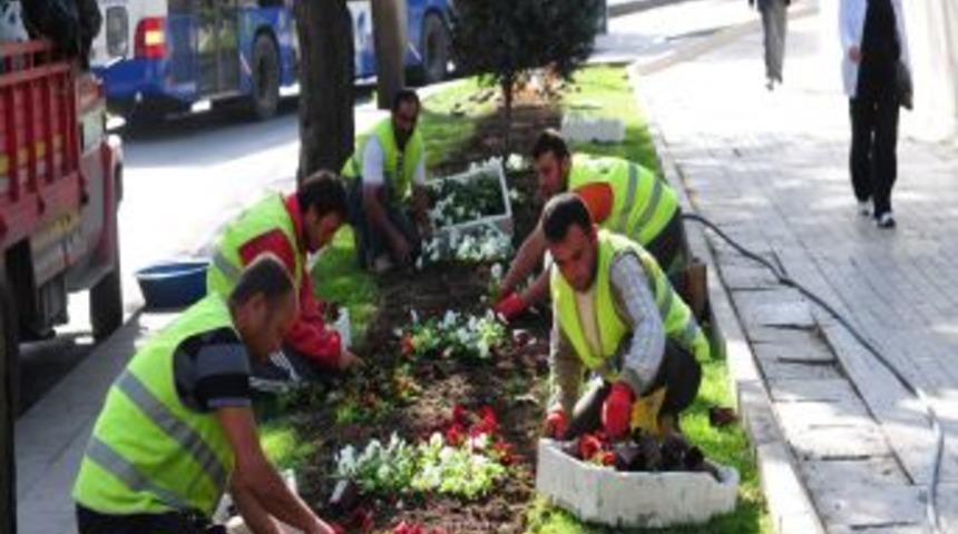 Başkent Kışlık &Ccedil;i&ccedil;eklerle S&uuml;sleniyor
