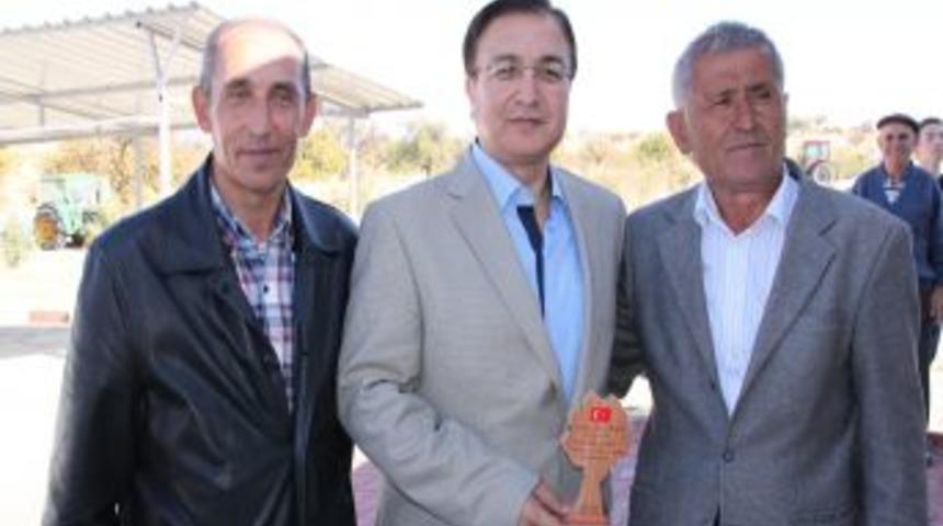 Yok Olan Ormanlarını Yeniden Inşa Etmek I&ccedil;in 7 Yıldır Ağa&ccedil; Dikiyorlar